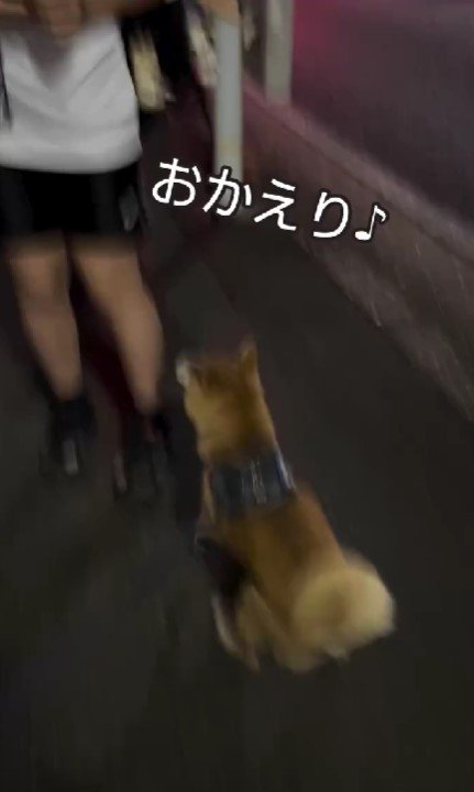 お姉ちゃんと再会できて大喜び