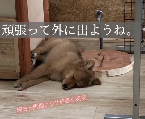 少しずつ慣れようね