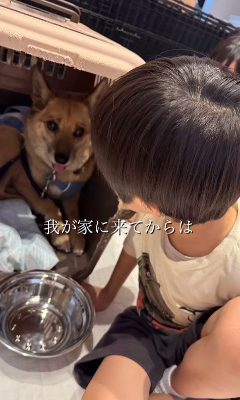おふとん君の変化5