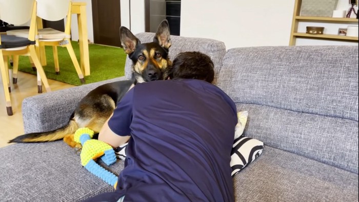 パパさんとくつろぐ犬