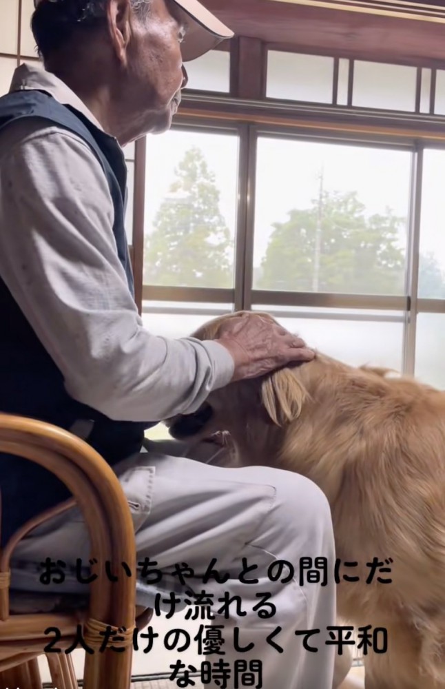 優しいナデナデ