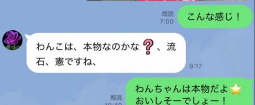 まさかの返信内容！