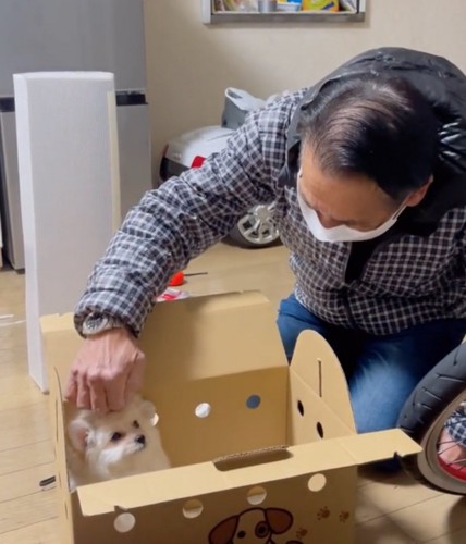 子犬を撫でるお父さん2