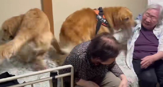 おばあちゃんもニッコリ