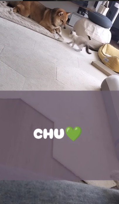 1匹目がキスで挨拶♪