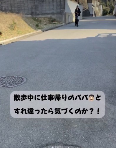 ママと散歩をエンジョイ中