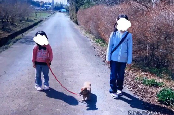 幸せな毎日