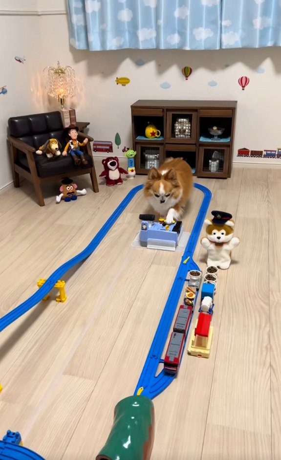 ボタンを押すラピくん