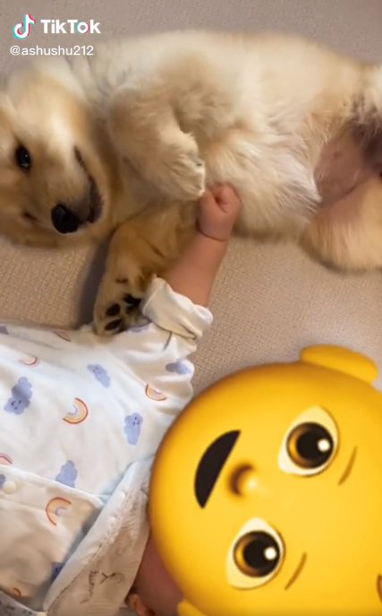 寝そべるふたり