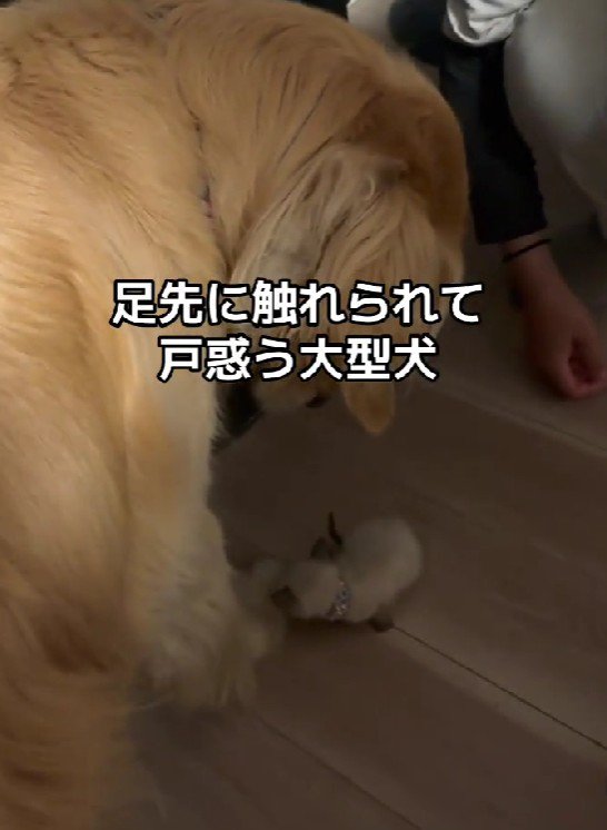 「えっ？」