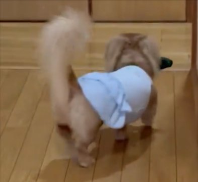 サッと