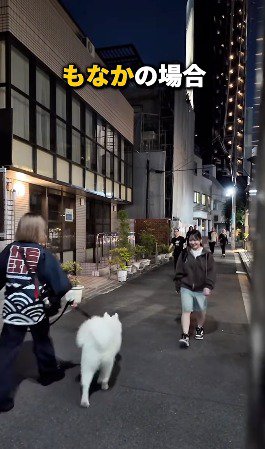 白い犬の方へ歩いてくる飼い主