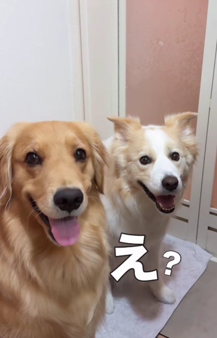 「え…だからなに？」