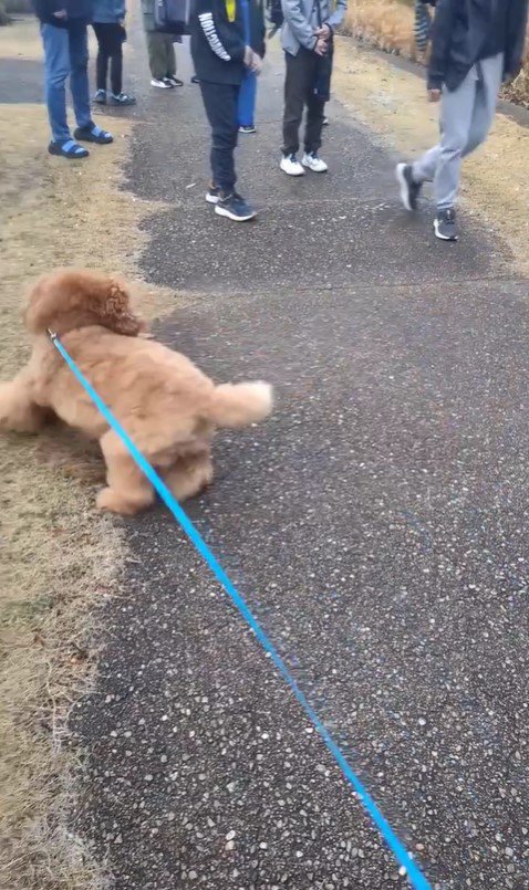 小学生に遭遇したぷぅ太郎7