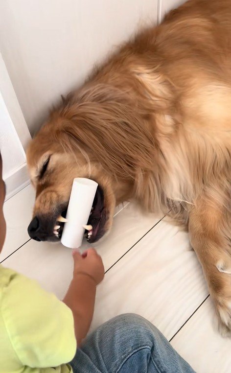 ラビーくんに芯をあげる男の子2