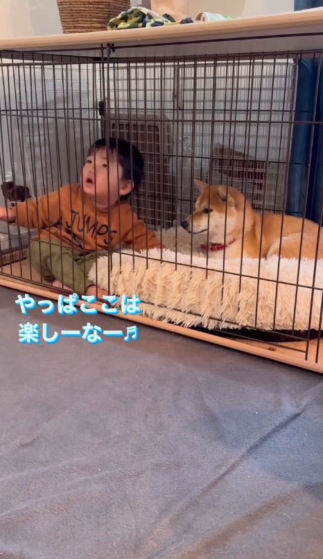 『犬小屋って楽しい～♪』