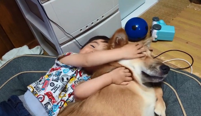もっぴーちゃんの顔を触る男の子