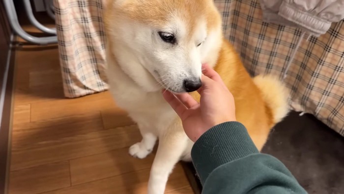 再会を喜ぶらんまるくん