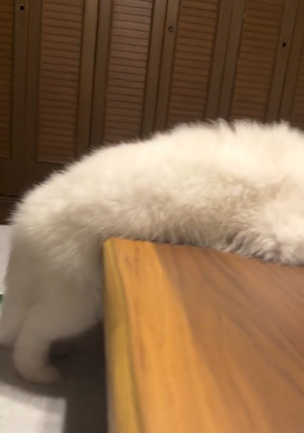 ごえもん君の胴体