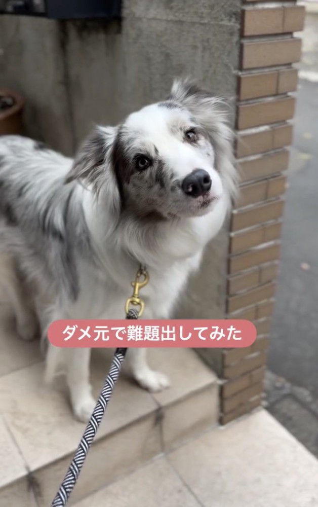 1ヶ月前のこと、思い出せるかな？