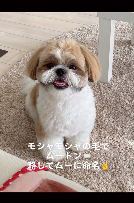 笑顔のムーくん