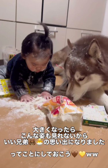 仲睦まじい兄弟なのでした