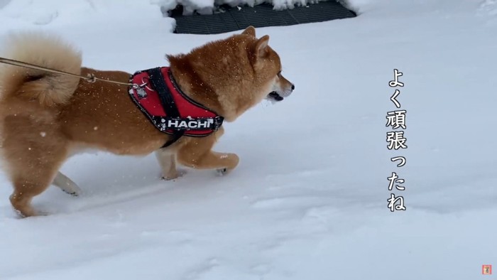 真っ先に向かったのは…