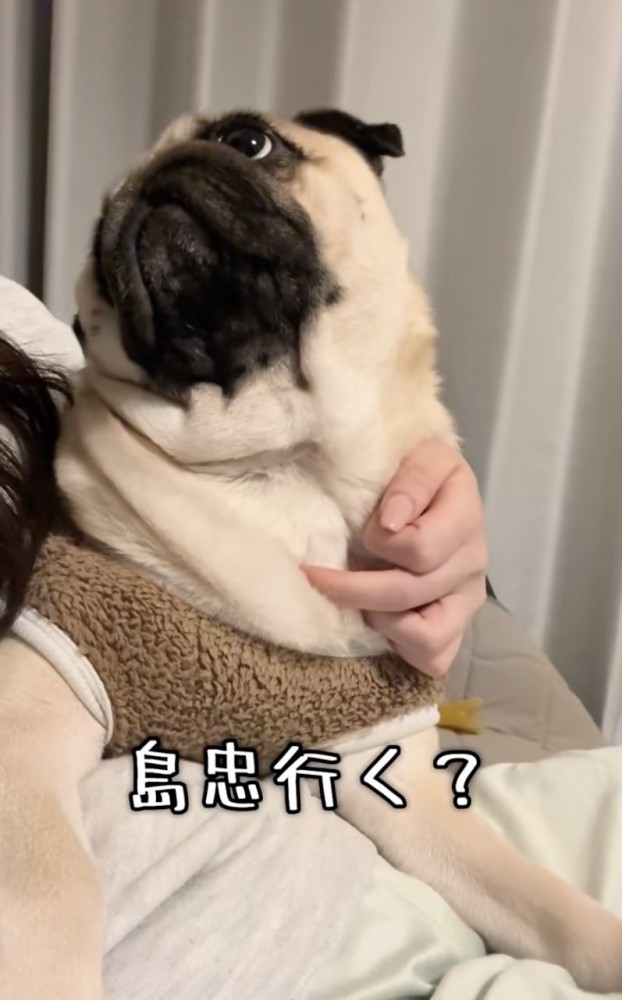 「そら行きますよ」