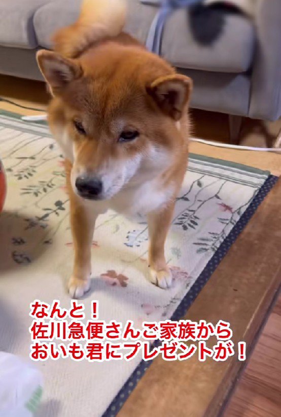 プレゼントをくれたよ♪