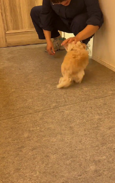 全力で喜ぶ姿にホッコリ♡