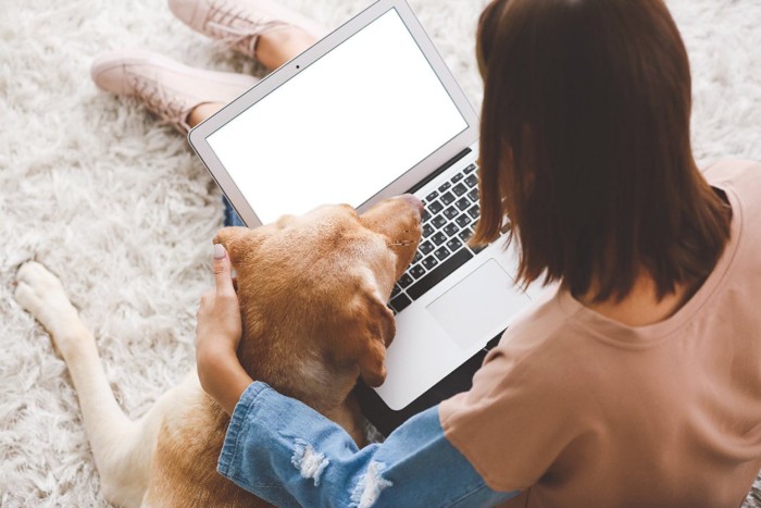 仕事する女性に寄り添う犬