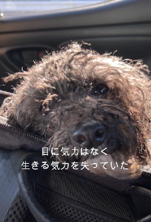 誰のことも信じられない…