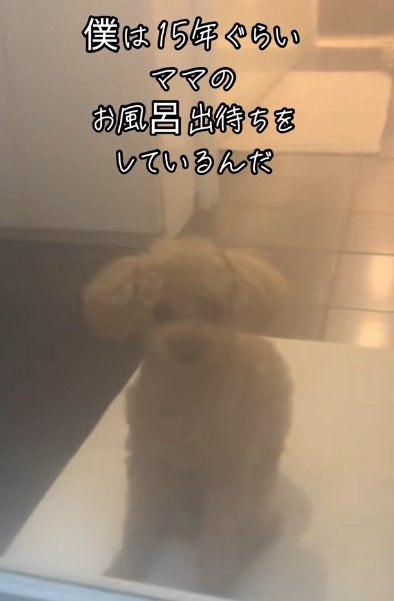 サンタちゃんの日課