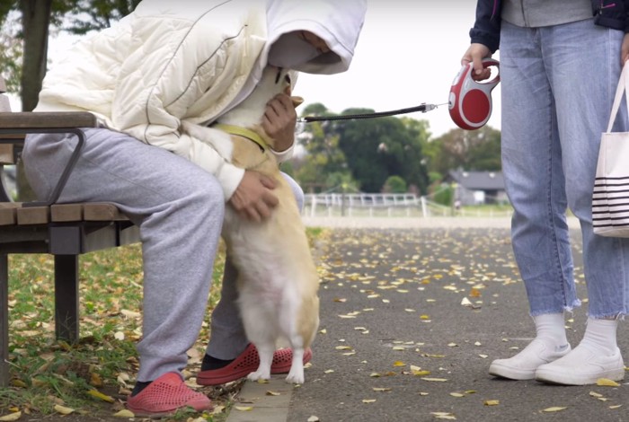 犬を撫でる犬