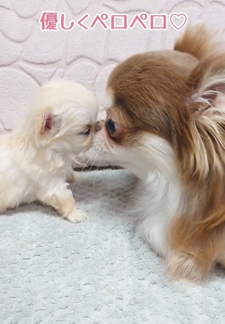 いっくんとのツーショット