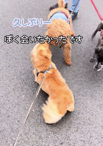 喜び大爆発!