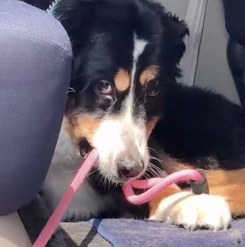 目で訴えるスタイル