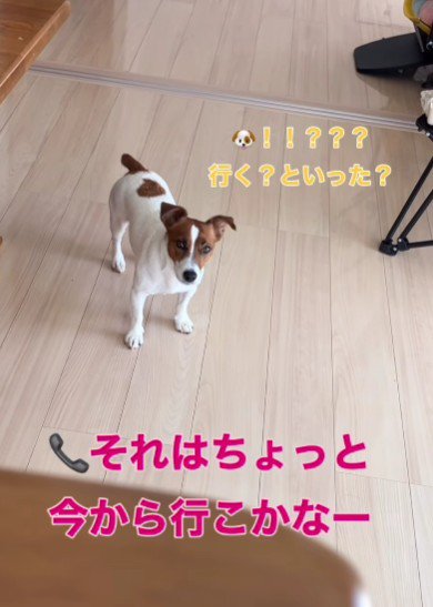 ？？？