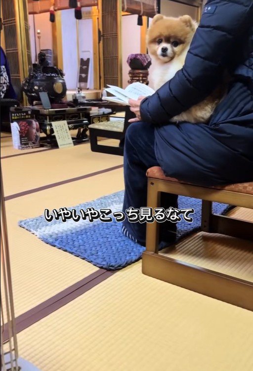 ちょっちゃんの年越し7