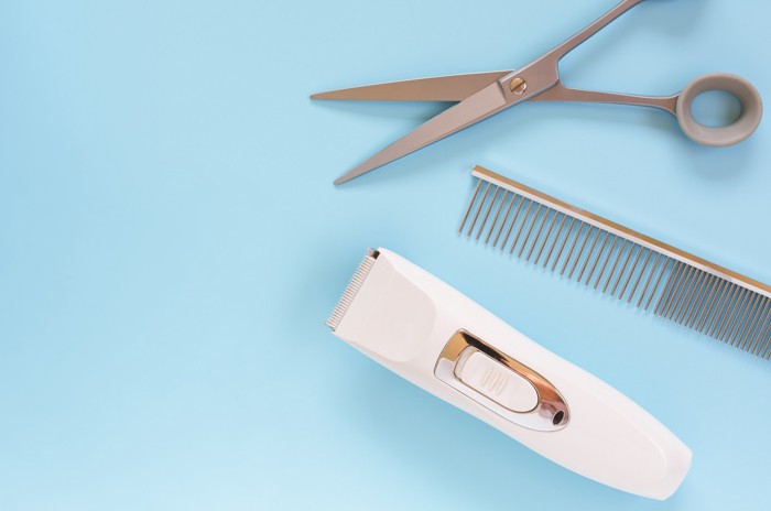 犬のトリミング用アイテムが並んでいる様子