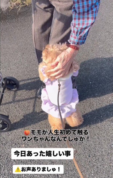 おばあちゃんもメロメロに！