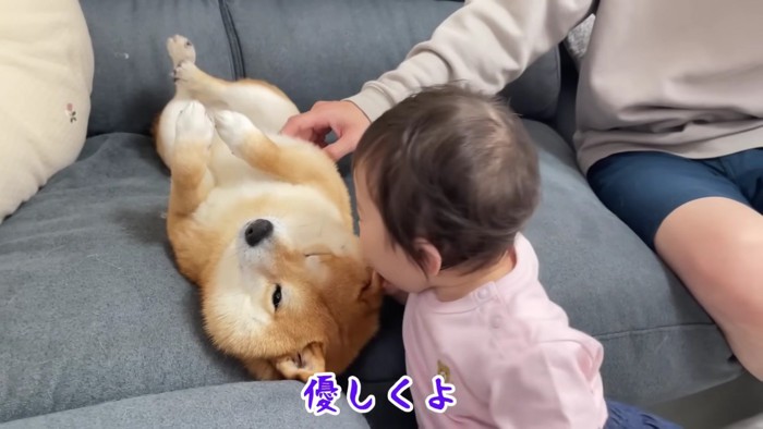 パクリ！