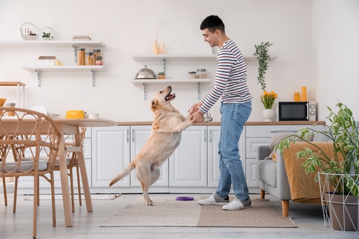 キッチンの前で男性と遊ぶ犬