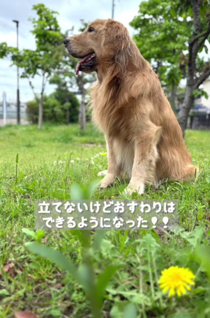 自力でお座り出来るように！