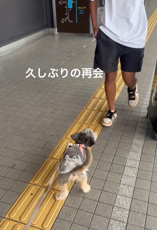 お兄ちゃんに気づいたスノーちゃん