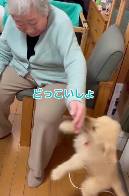 おばあちゃんの袖を引いて…