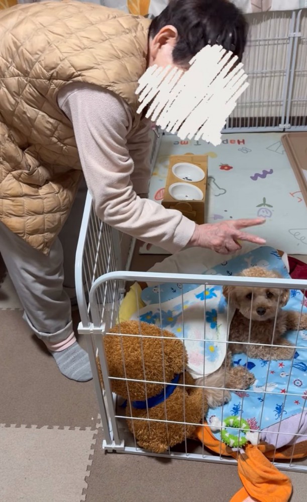 ピース
