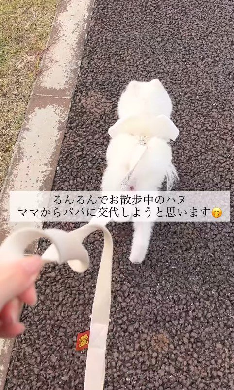 マザコンを発揮するハヌルくん