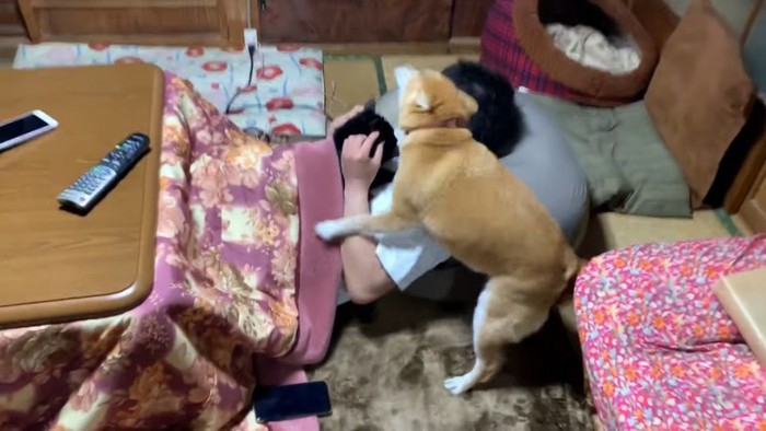 パパさんに会うと、大はしゃぎ!