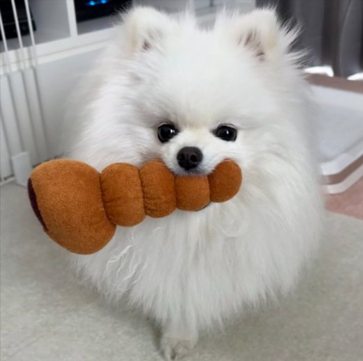 可愛すぎる